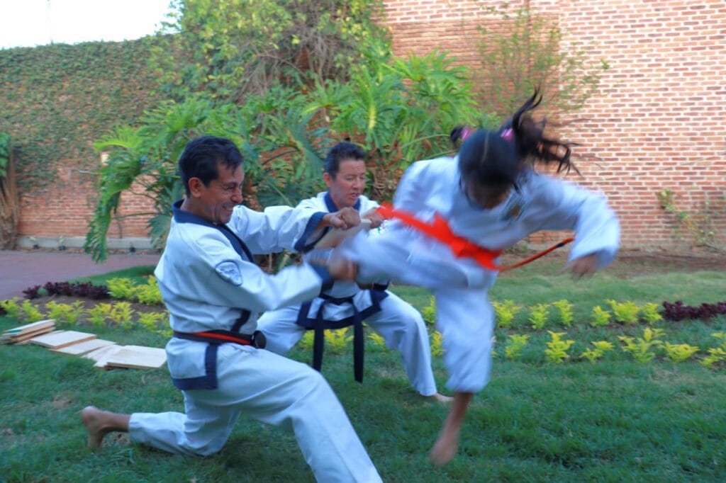 Soo Bahk Do guadalajara