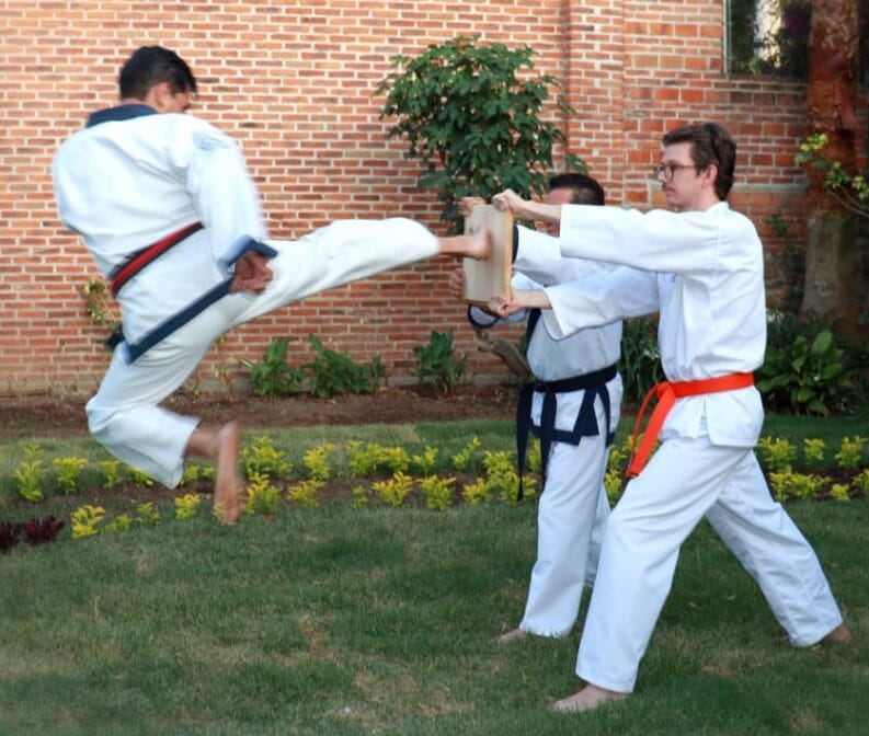 soo bahk do rompimiento de tablas