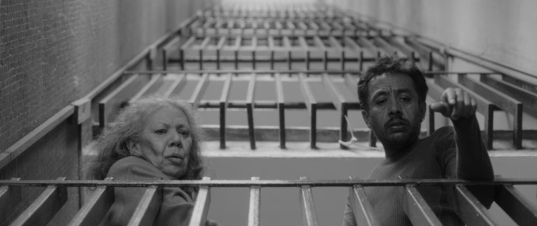 no nos moveran pelicula